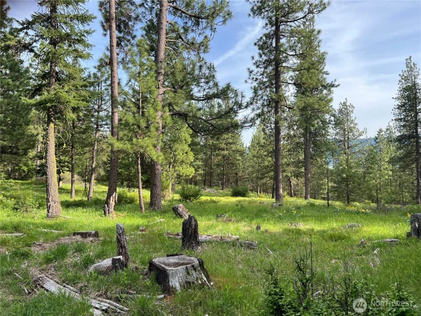 Property photo for 740 Sun Ridge Drive, Cle Elum photo 10