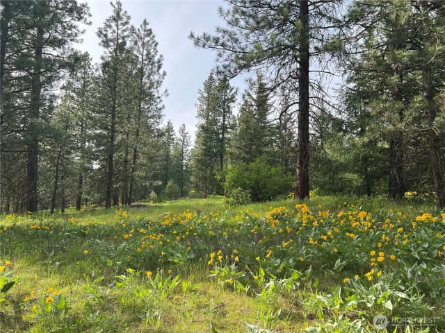 Property photo for 740 Sun Ridge Drive, Cle Elum photo 3