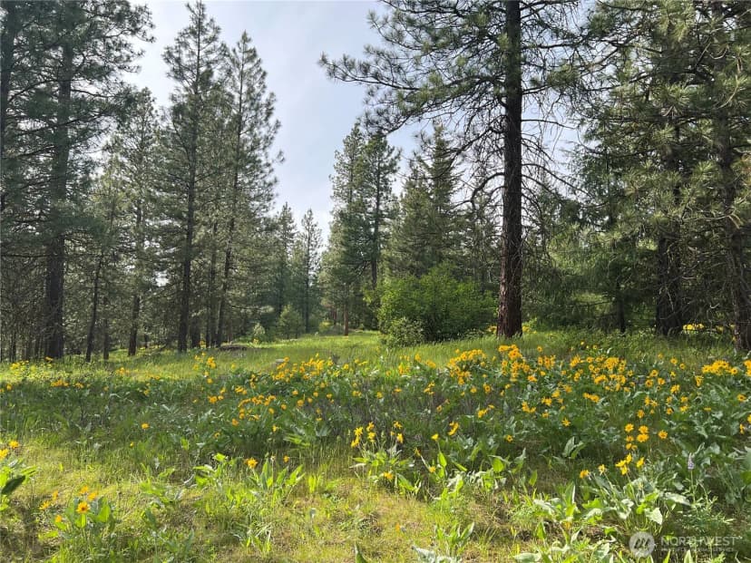 Property photo for 740 Sun Ridge Drive, Cle Elum photo 3