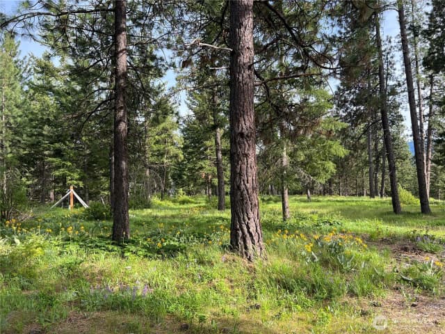 Property photo for 740 Sun Ridge Drive, Cle Elum photo 5