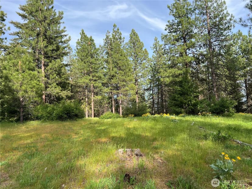 Property photo for 740 Sun Ridge Drive, Cle Elum photo 6