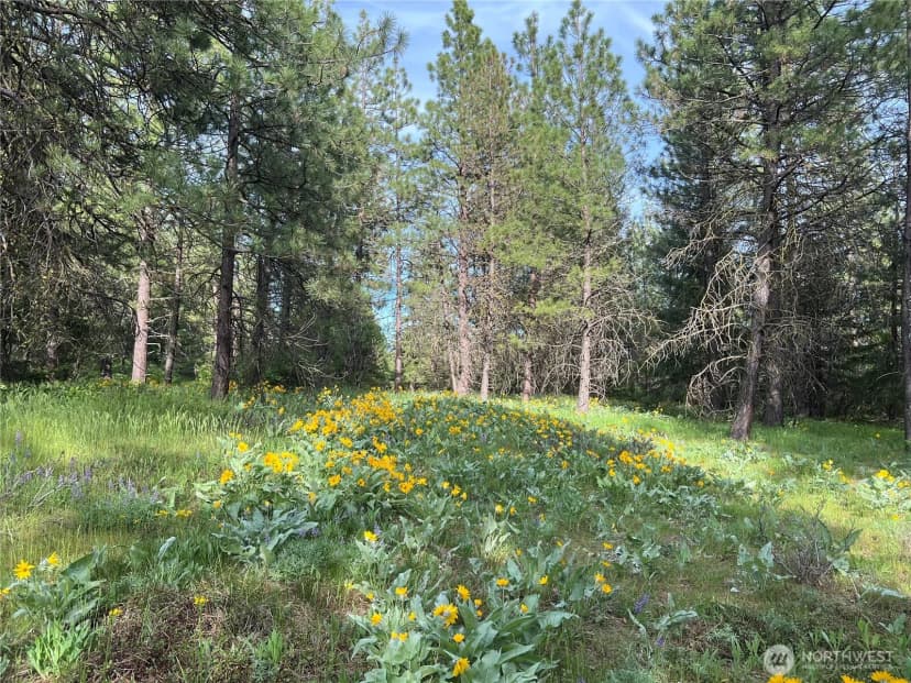 Property photo for 740 Sun Ridge Drive, Cle Elum photo 15