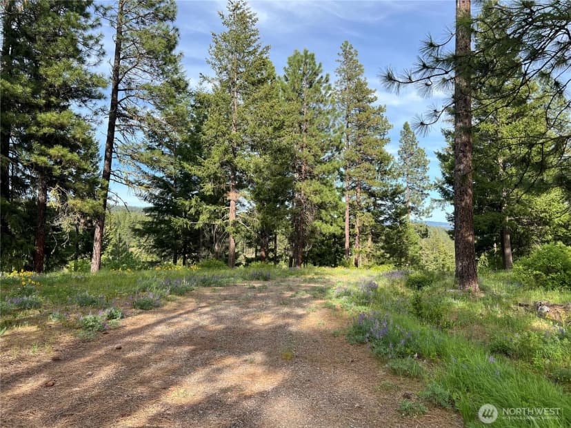 Property photo for 740 Sun Ridge Drive, Cle Elum photo 11