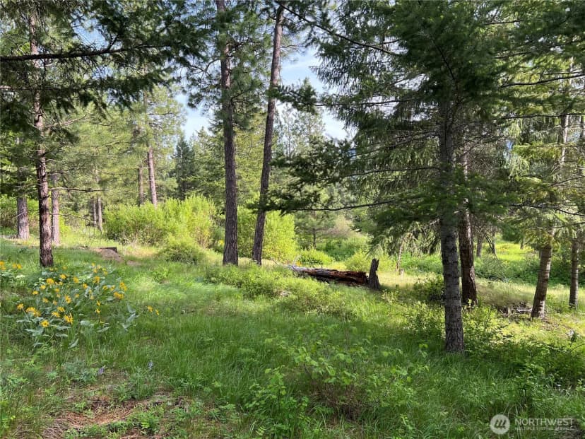 Property photo for 740 Sun Ridge Drive, Cle Elum photo 12