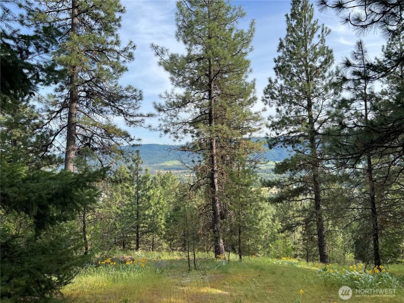 Property photo for 740 Sun Ridge Drive, Cle Elum photo 17