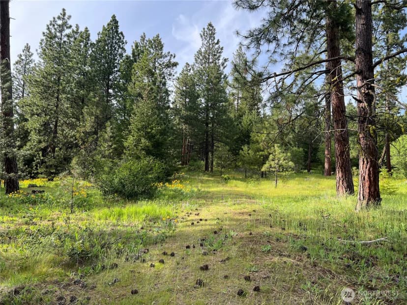 Property photo for 740 Sun Ridge Drive, Cle Elum photo 14