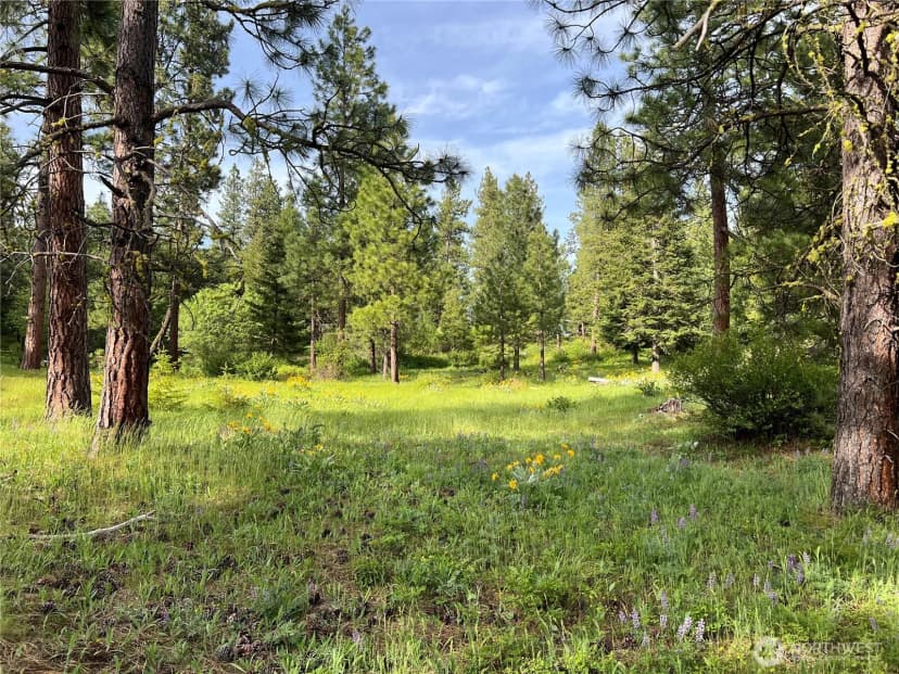 Property photo for 740 Sun Ridge Drive, Cle Elum photo 7