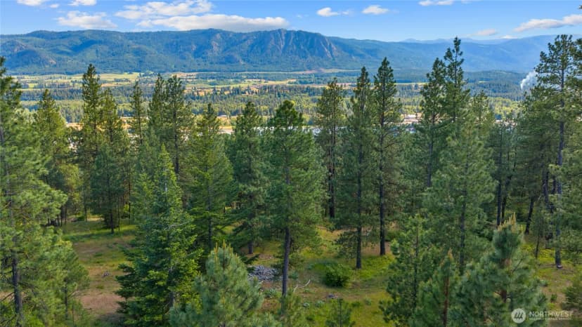 Property photo for 740 Sun Ridge Drive, Cle Elum photo 28