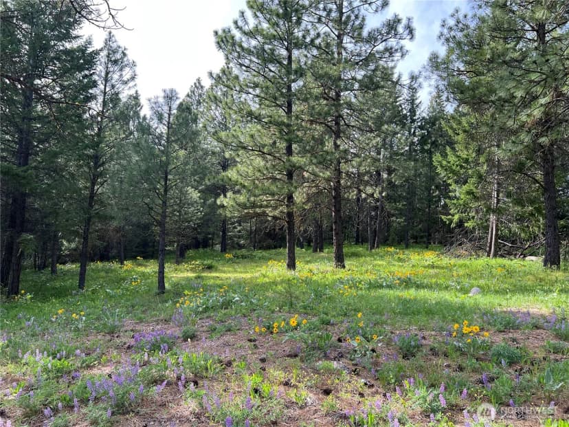 Property photo for 740 Sun Ridge Drive, Cle Elum photo 9