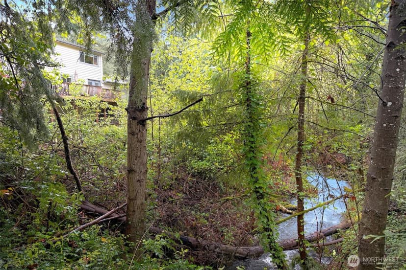 Property photo for 225 131st Avenue Ne, Bellevue photo 34