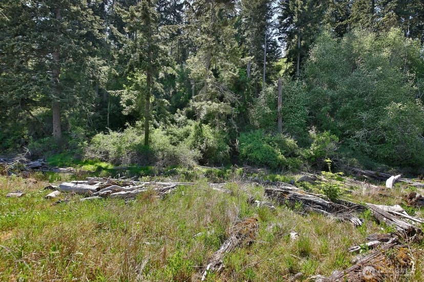 Property photo for 655 Race Road, Coupeville photo 35