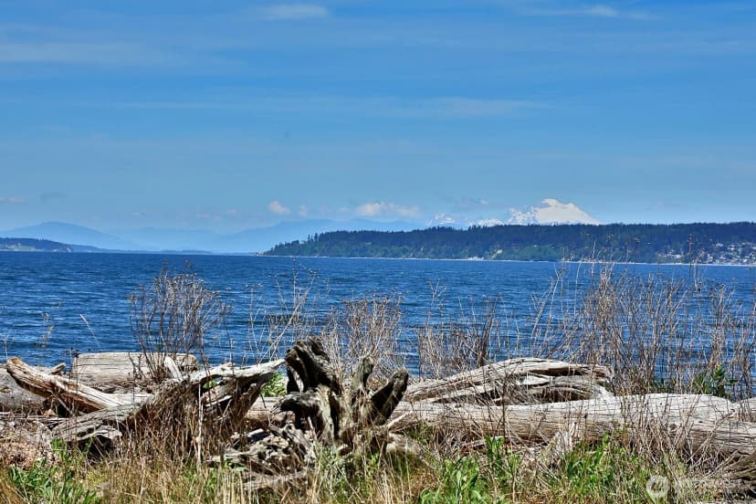 Property photo for 655 Race Road, Coupeville photo 37
