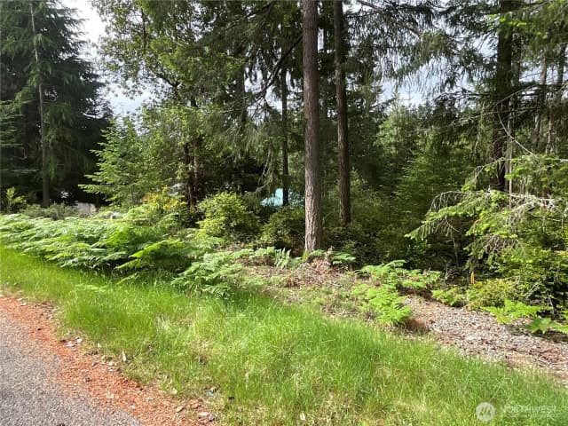 Property photo for 11018 Mathews Way, Anderson Island photo 5