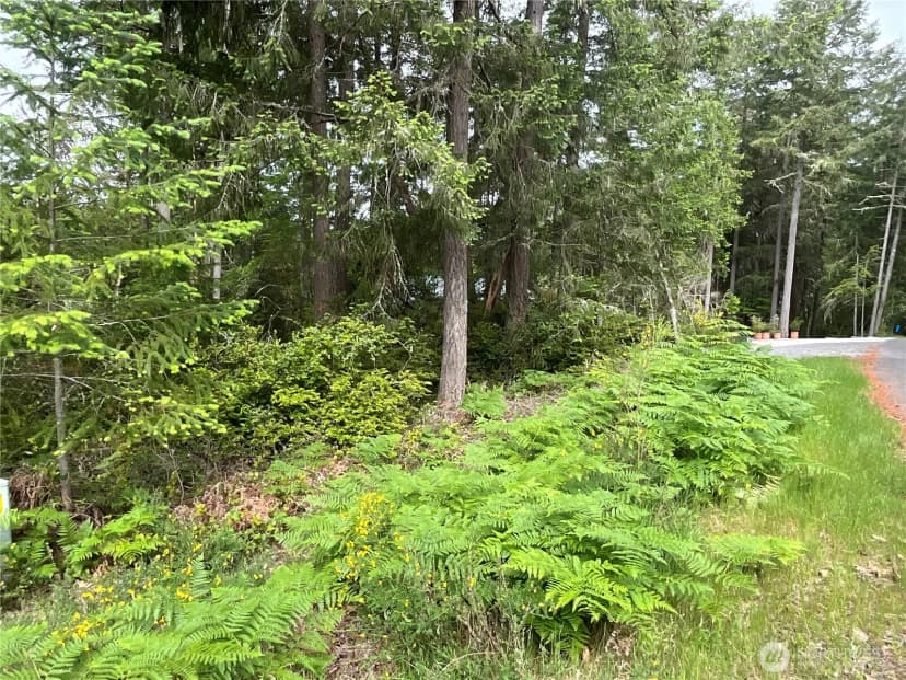 Property photo for 11018 Mathews Way, Anderson Island photo 8
