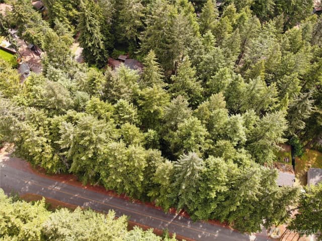 Property photo for 11321 Lake Josephine Avenue, Anderson Island photo 4