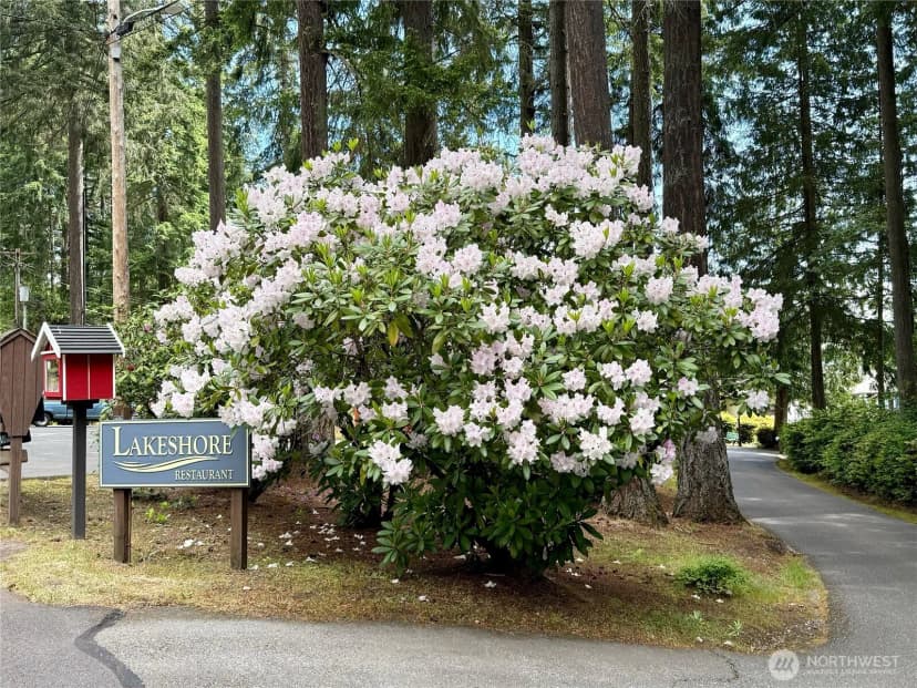 Property photo for 11321 Lake Josephine Avenue, Anderson Island photo 15