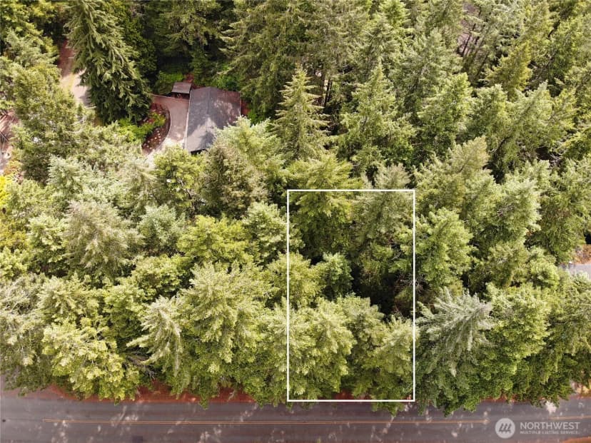 Property photo for 11321 Lake Josephine Avenue, Anderson Island photo 6