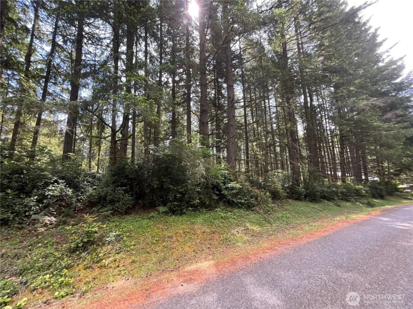 Property photo for 11321 Lake Josephine Avenue, Anderson Island photo 2