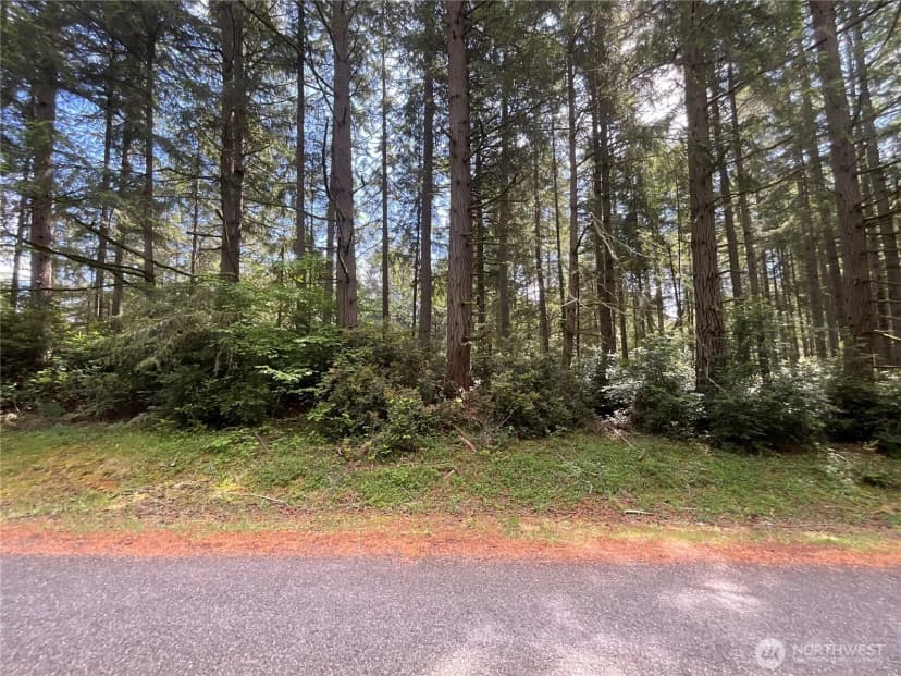 Property photo for 11321 Lake Josephine Avenue, Anderson Island