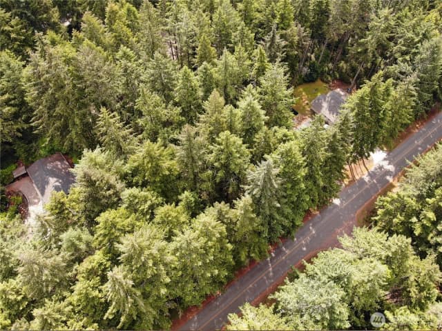 Property photo for 11321 Lake Josephine Avenue, Anderson Island photo 5