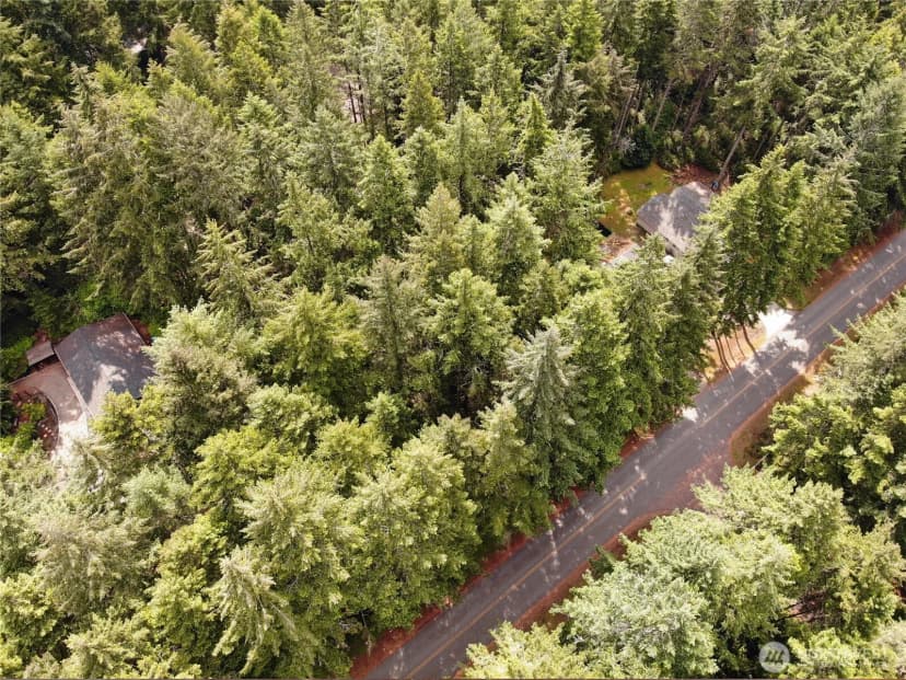 Property photo for 11321 Lake Josephine Avenue, Anderson Island photo 5