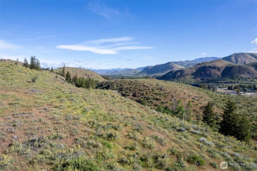 Property photo for 0 Tbd Alder Road, Twisp photo 27