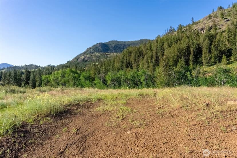 Property photo for 0 Tbd Alder Road, Twisp photo 30