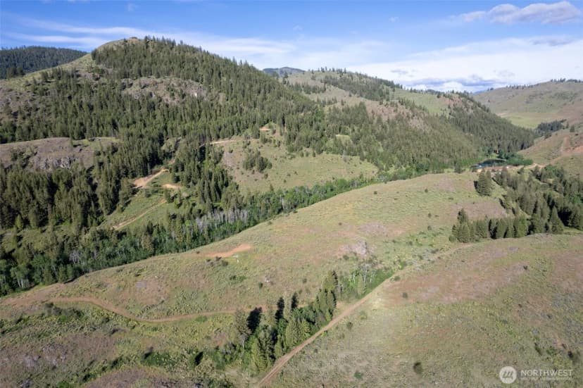 Property photo for 0 Tbd Alder Road, Twisp photo 9