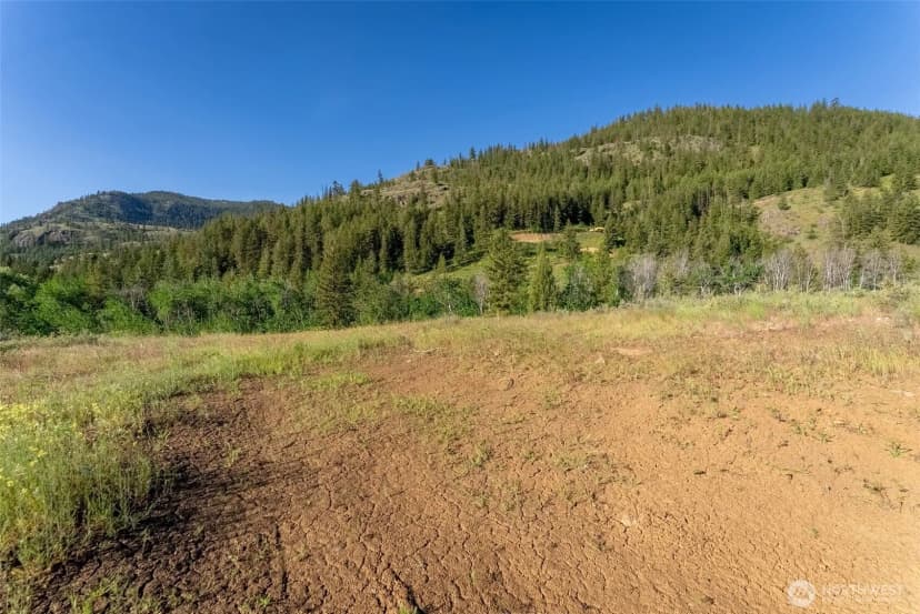 Property photo for 0 Tbd Alder Road, Twisp photo 29