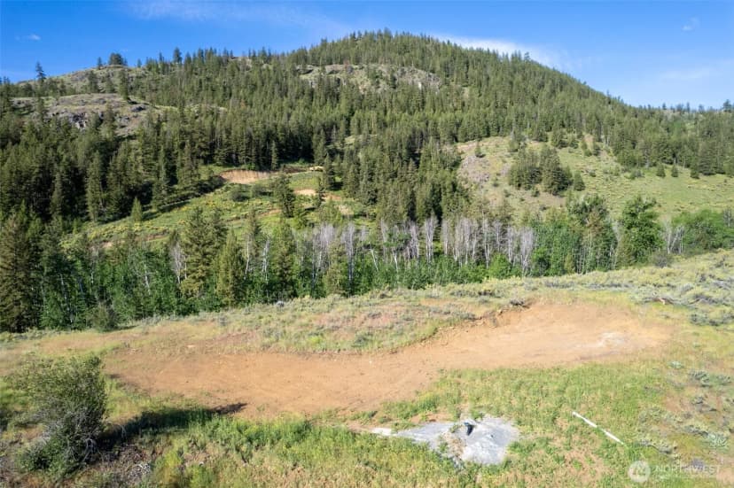 Property photo for 0 Tbd Alder Road, Twisp photo 22