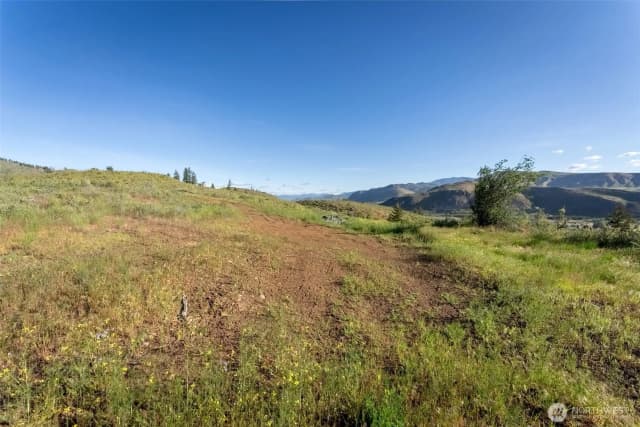Property photo for 0 Tbd Alder Road, Twisp photo 3