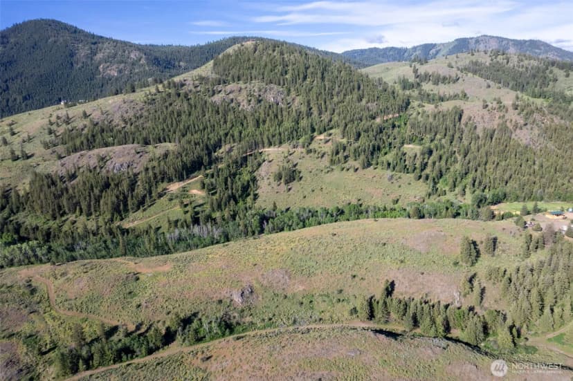 Property photo for 0 Tbd Alder Road, Twisp photo 11