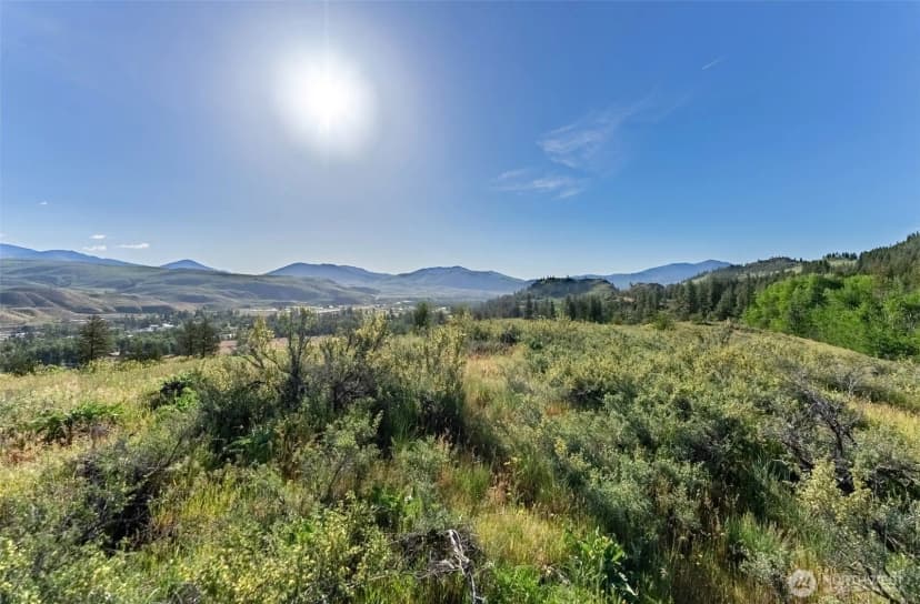 Property photo for 0 Tbd Alder Road, Twisp photo 32