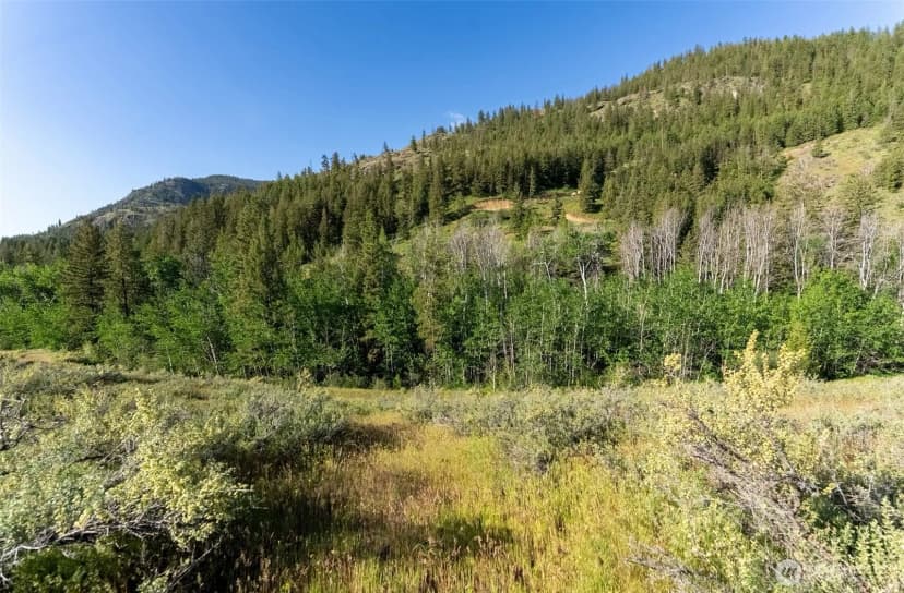 Property photo for 0 Tbd Alder Road, Twisp photo 38