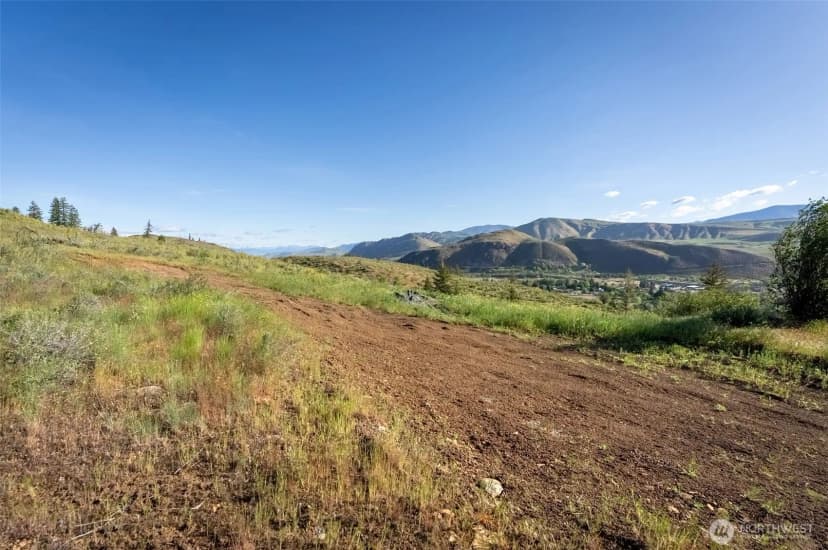 Property photo for 0 Tbd Alder Road, Twisp photo 6