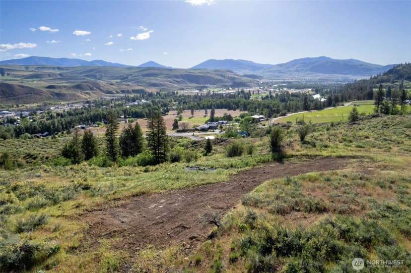 Property photo for 0 Tbd Alder Road, Twisp photo 26