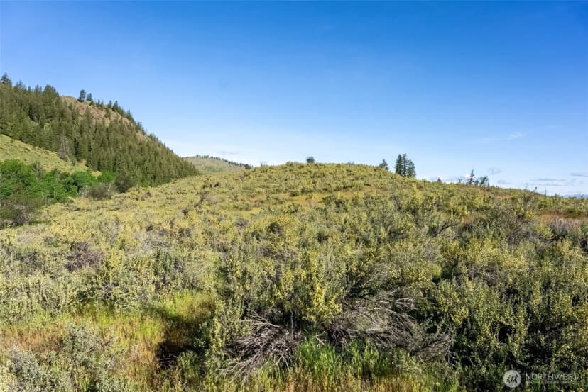 Property photo for 0 Tbd Alder Road, Twisp photo 36