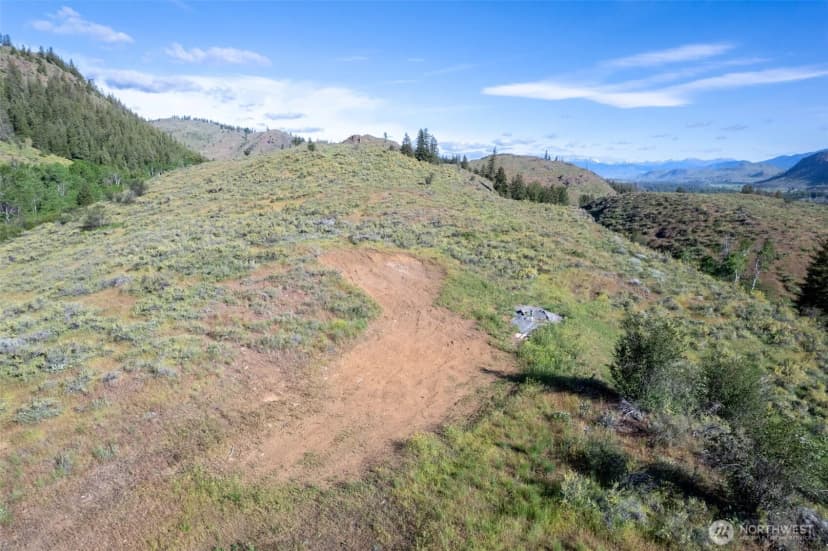 Property photo for 0 Tbd Alder Road, Twisp photo 21