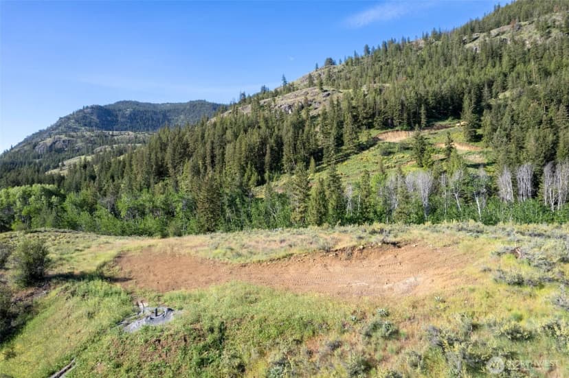 Property photo for 0 Tbd Alder Road, Twisp photo 23