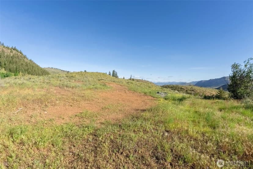 Property photo for 0 Tbd Alder Road, Twisp photo 4