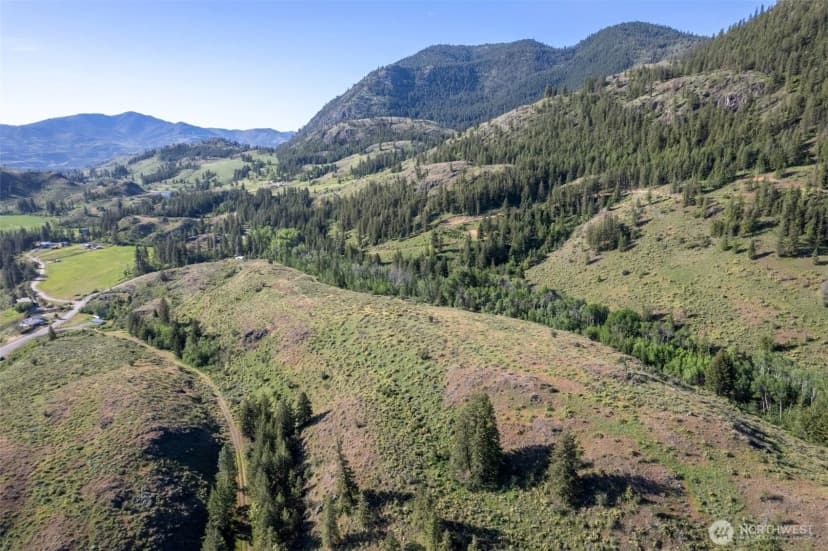 Property photo for 0 Tbd Alder Road, Twisp photo 14