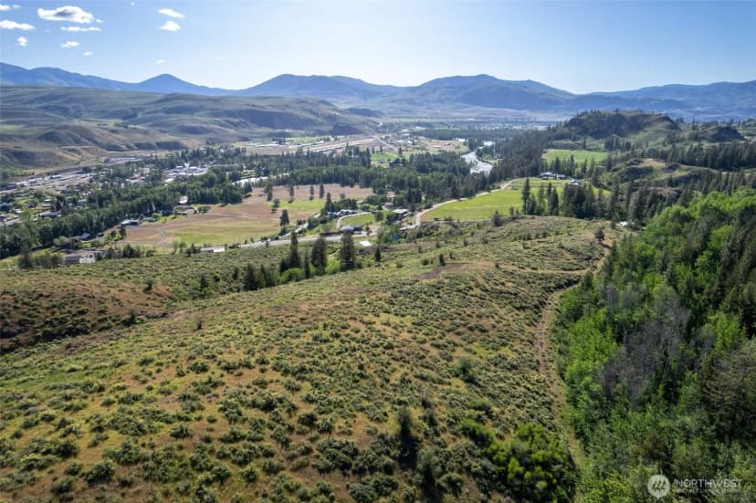 Property photo for 0 Tbd Alder Road, Twisp photo 15