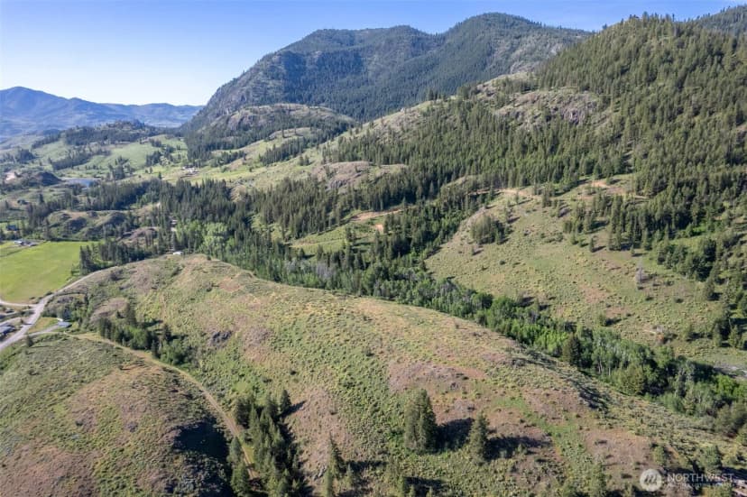 Property photo for 0 Tbd Alder Road, Twisp photo 13