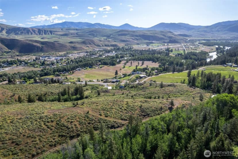 Property photo for 0 Tbd Alder Road, Twisp photo 16