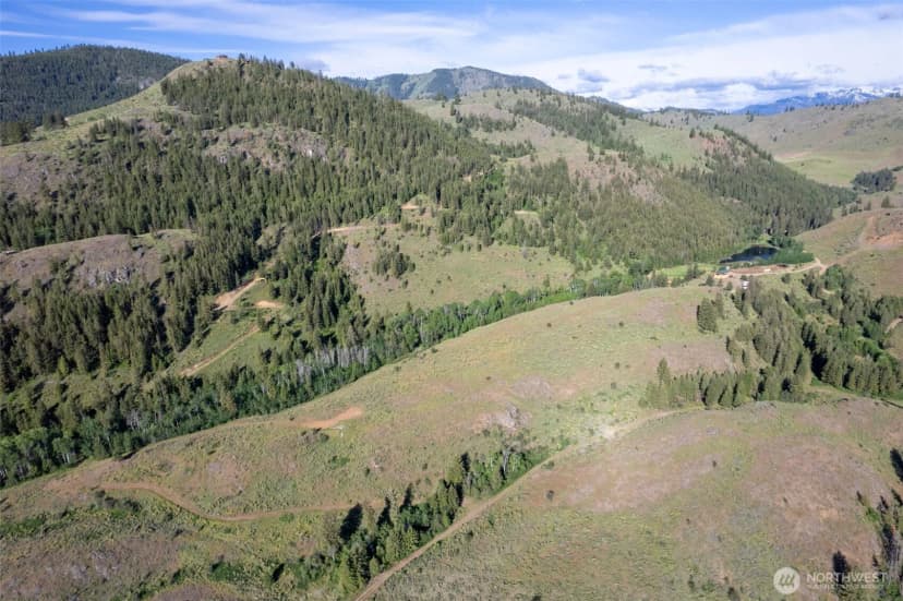 Property photo for 0 Tbd Alder Road, Twisp photo 10