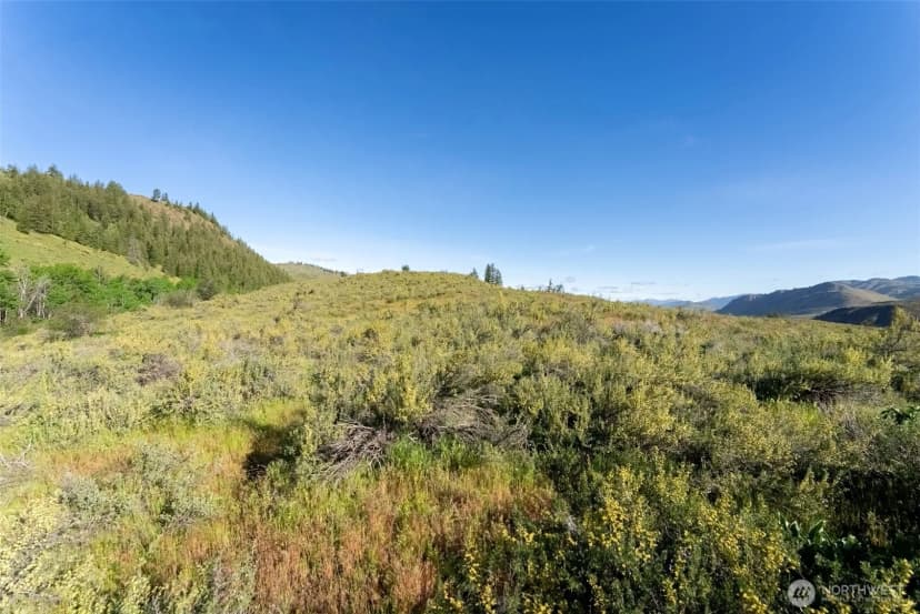 Property photo for 0 Tbd Alder Road, Twisp photo 37
