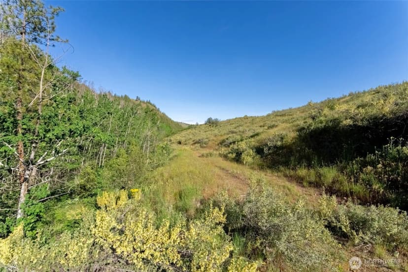 Property photo for 0 Tbd Alder Road, Twisp photo 39