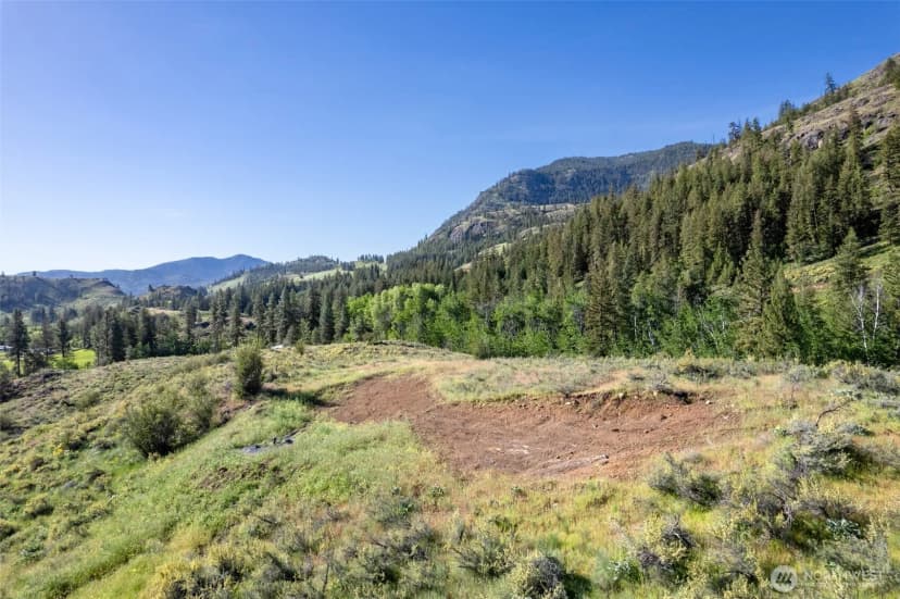 Property photo for 0 Tbd Alder Road, Twisp photo 25
