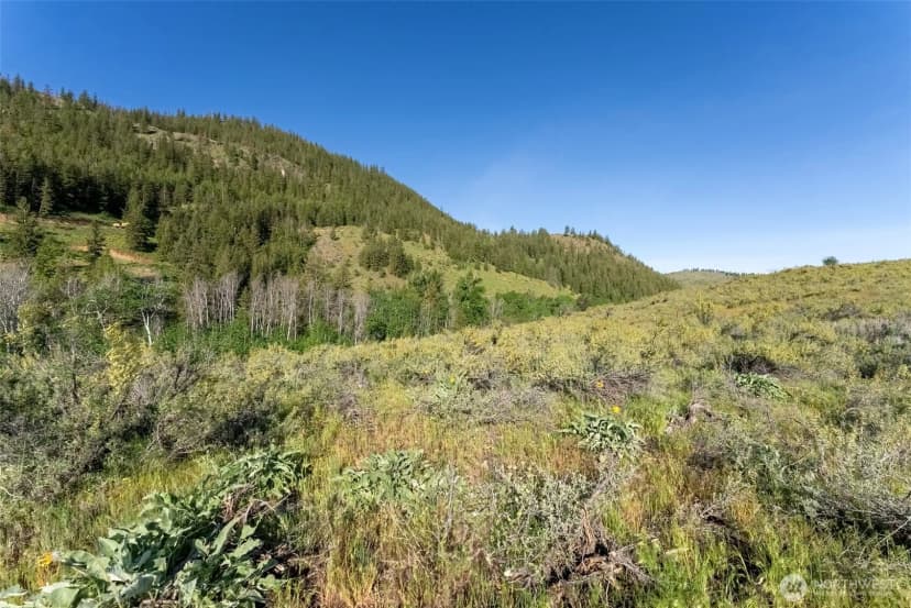 Property photo for 0 Tbd Alder Road, Twisp photo 33