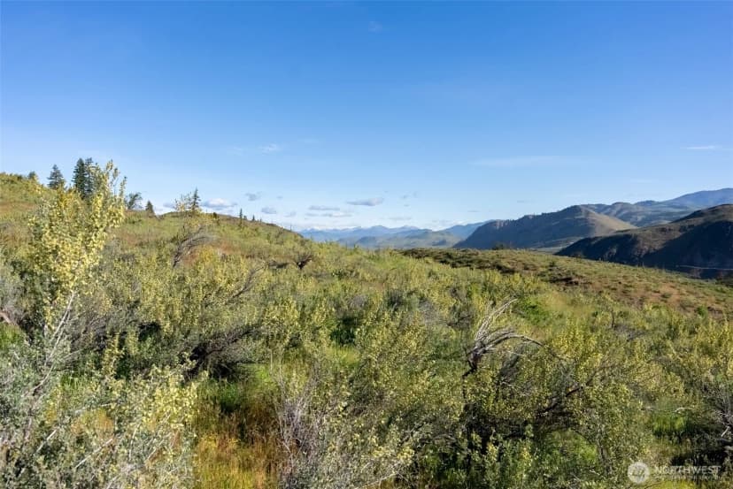 Property photo for 0 Tbd Alder Road, Twisp photo 35